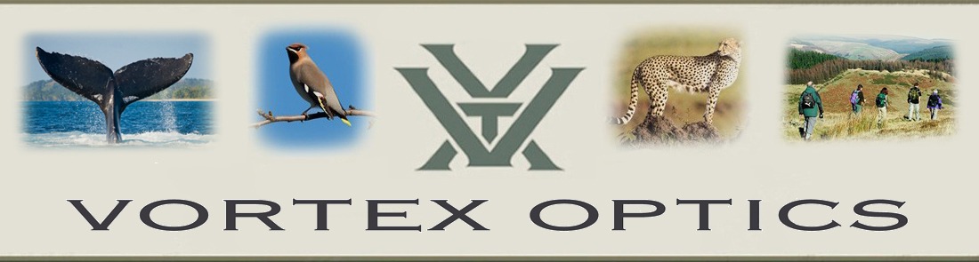 Vortex Logo